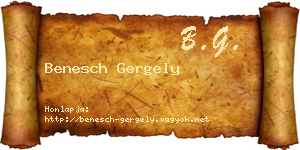 Benesch Gergely névjegykártya